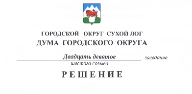 29 заседание Думы городского округа